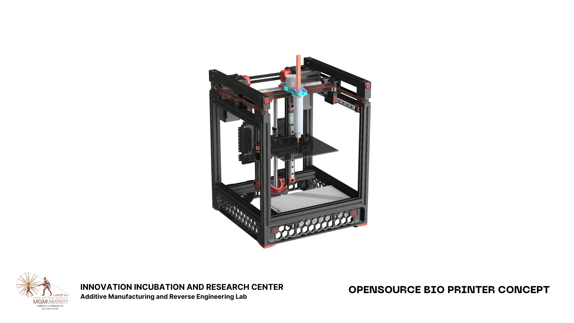 Picture of the author